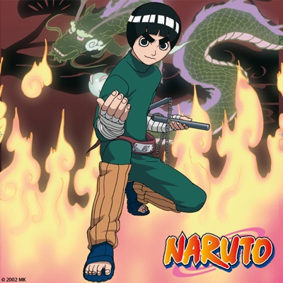 Télécharger Naruto, Arc 5 : L'épreuve de transition