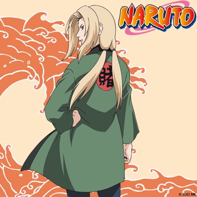 Télécharger Naruto, Arc 17 : Saga Raiga