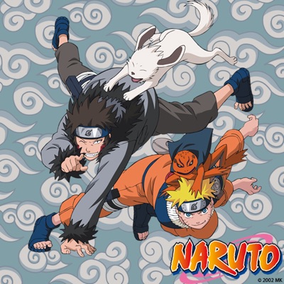 Télécharger Naruto, Arc 20 : Le passé d'Anko