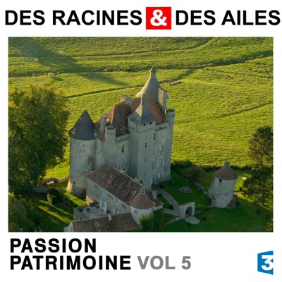 Télécharger Des Racines & des Ailes, Passion patrimoine, Vol. 5