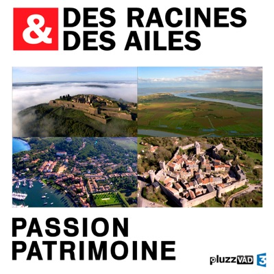 Télécharger Des Racines & des Ailes, Passion patrimoine