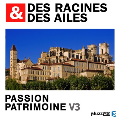 Télécharger Des Racines & des Ailes, Passion patrimoine, Vol. 3