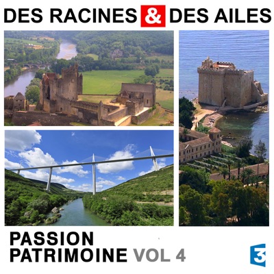 Des Racines & des Ailes, Passion patrimoine, Vol. 4 torrent magnet
