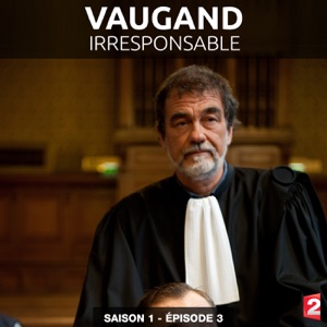 Télécharger Vaugand, Irresponsable