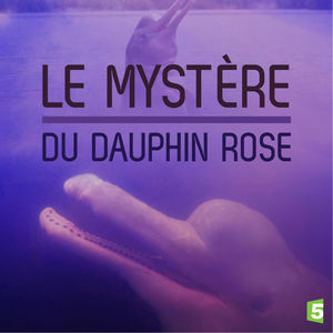 Télécharger Le mystère du dauphin rose