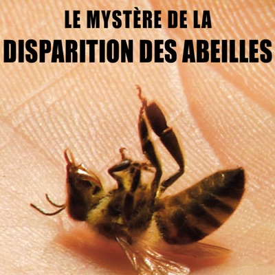 Télécharger Le mystère de la disparition des abeilles