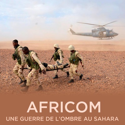 Télécharger Guerre de l'ombre au Sahara