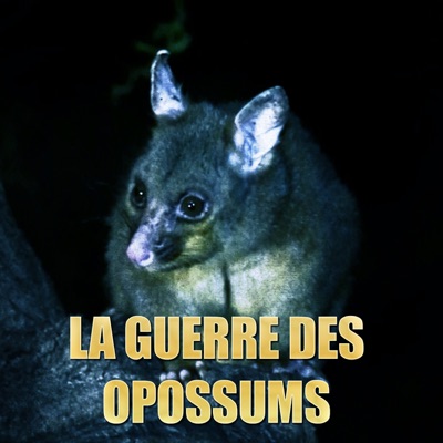 Télécharger La guerre des opossums