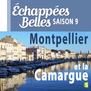 Télécharger Montpellier et la Camargue