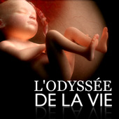 film L'Odyssée de la vie streaming vf