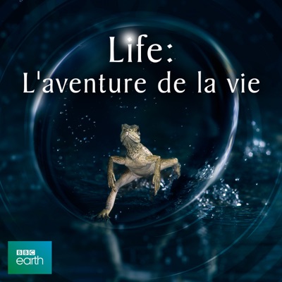 Life, Life: L'aventure de la vie torrent magnet