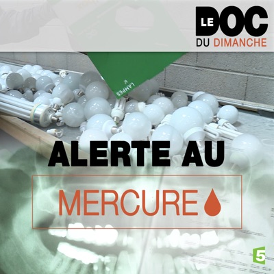 Télécharger Alerte au mercure