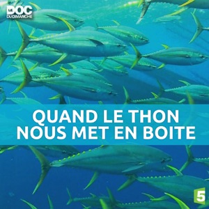 Télécharger Le doc du dimanche : quand le thon nous met en boîte