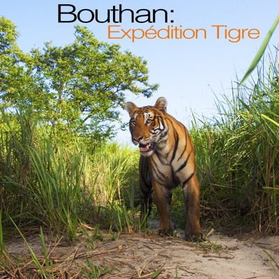 Acheter Bouthan: Expédition tigre en DVD