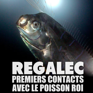 Télécharger Régalec, premiers contacts avec le poisson roi