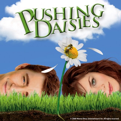 Acheter Pushing Daisies, Season 1 en DVD