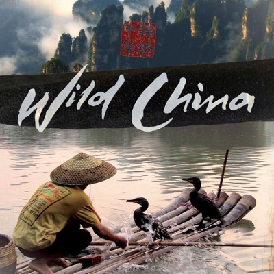 Wild China, Series 1 torrent magnet