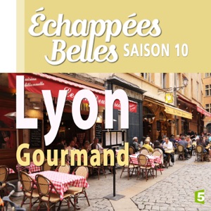 Télécharger Lyon gourmand