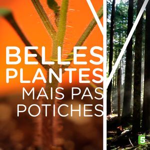 Télécharger Belles plantes mais pas potiches