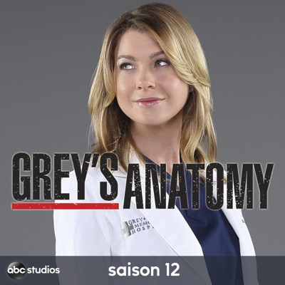 Télécharger Grey's Anatomy, Saison 12 (VOST)