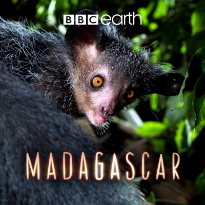 Télécharger Madagascar (VF)