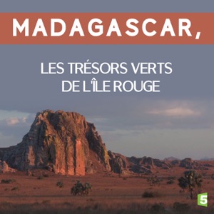 Télécharger Madagascar, les trésors verts de l'île rouge