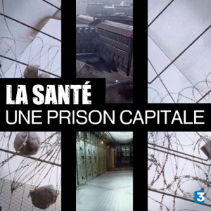 Télécharger La Santé, une prison capitale