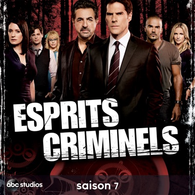 Acheter Esprits criminels, Saison 7 (VOST) en DVD
