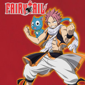 Télécharger Fairy Tail, Saison 3, Partie 8