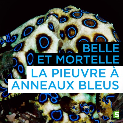 Belle et mortelle, la pieuvre à anneaux bleus torrent magnet