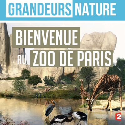 Télécharger Grandeurs nature : Bienvenue au zoo de Paris