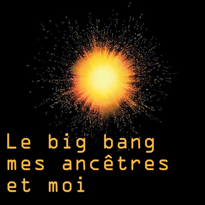 Télécharger Le big bang, mes ancêtres et moi