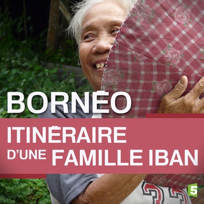 Télécharger Bornéo, itinéraire d'une famille iban