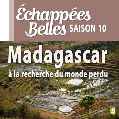 Acheter Madagascar, à la recherche du monde perdu en DVD