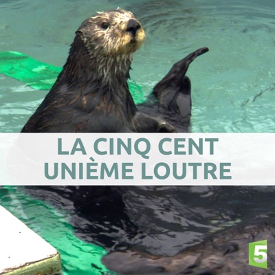 Télécharger La cinq cent unième loutre