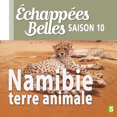 Télécharger Namibie, terre animale