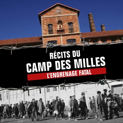 Télécharger Récits du camp des Milles, l'engrenage fatal