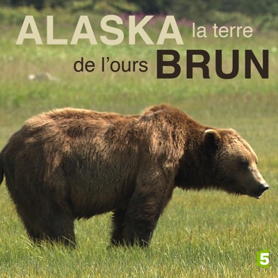 Télécharger Alaska, la terre de l'ours brun