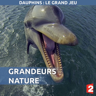 Télécharger Grandeurs nature : Dauphins, le grand jeu