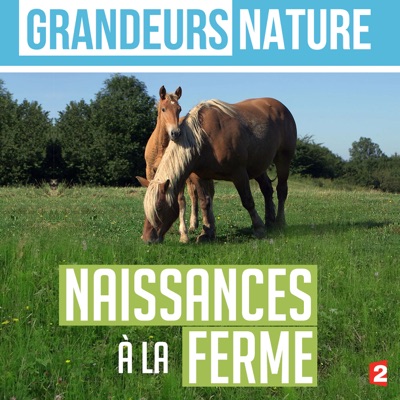 Télécharger Grandeurs nature : naissances à la ferme