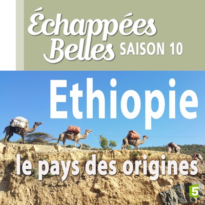 Télécharger Ethiopie, le pays des origines