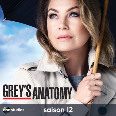 Télécharger Grey's Anatomy, Saison 12