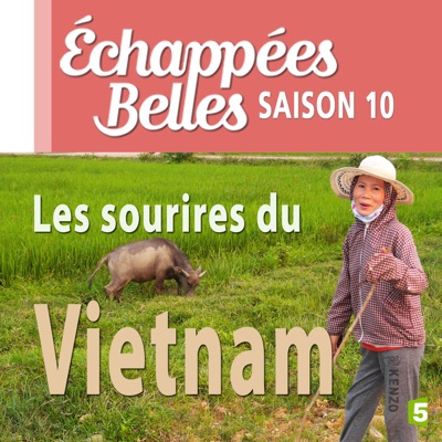 Télécharger Les sourires du Vietnam