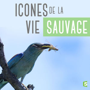 Télécharger Icônes de la vie sauvage, Saison 1