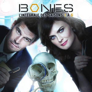Télécharger Bones, L’Intergrale des Saisons 1 A 6 (VF)