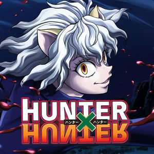 Télécharger Hunter X Hunter (2011), Arc 6 : Chimera Ant, Partie 2