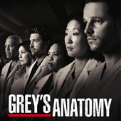 Télécharger Grey's Anatomy, Saison 8 (VOST)