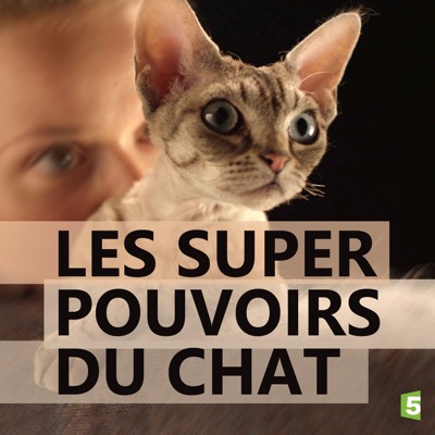 Télécharger Les super-pouvoirs du chat