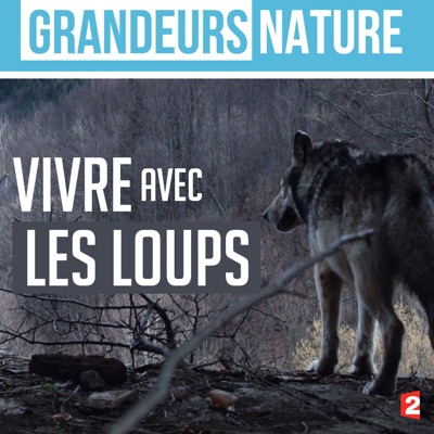 Télécharger Grandeurs nature : Vivre avec les loups