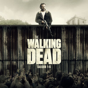 Acheter The Walking Dead, Saison 1-6 (VF) en DVD
